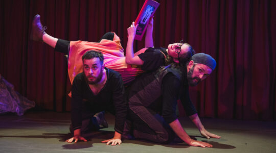 o vira lata teatro ave lola