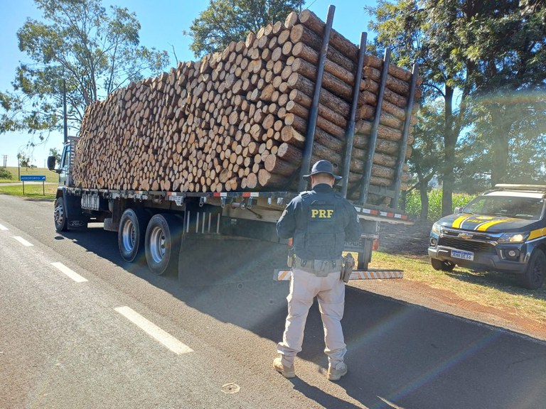 Caminhão é flagrado com carga de toras de madeiras soltas em estrada do Paraná. (PRF-PR)