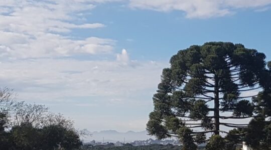Tempo bom em Curitiba