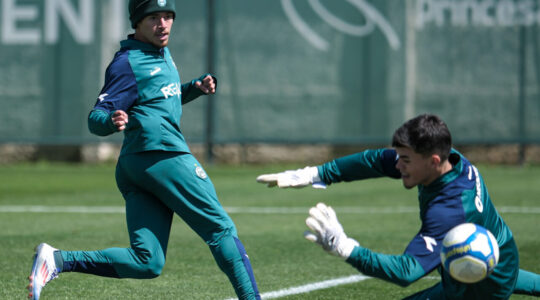 Figueiredo e Pedro Morisco: Coritiba e Avaí