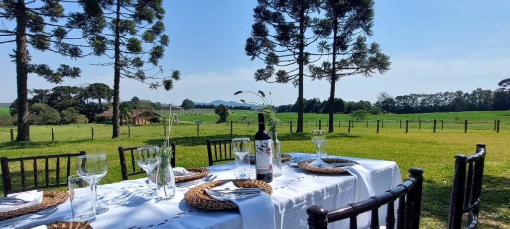 Vinicola-Legado-1-1