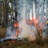 incendios_em_ucs_02_gabrielly_pontes_cge
