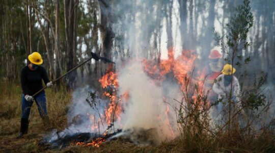 incendios_em_ucs_02_gabrielly_pontes_cge