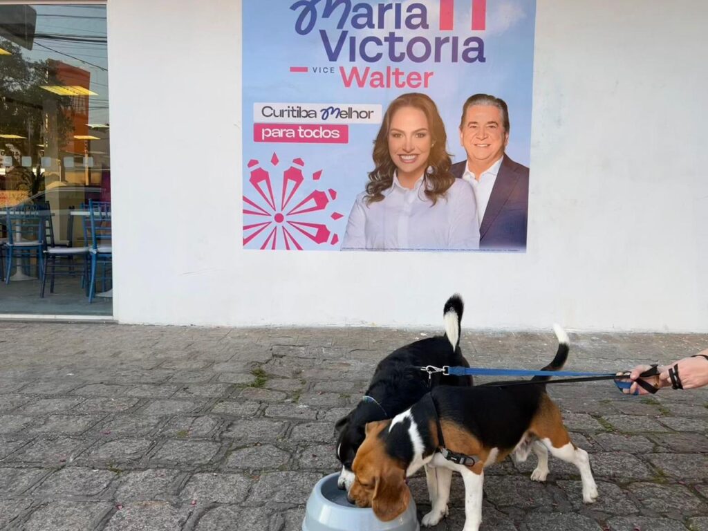 maria victoria pet friendly comitê