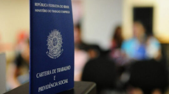 mercado de trabalho