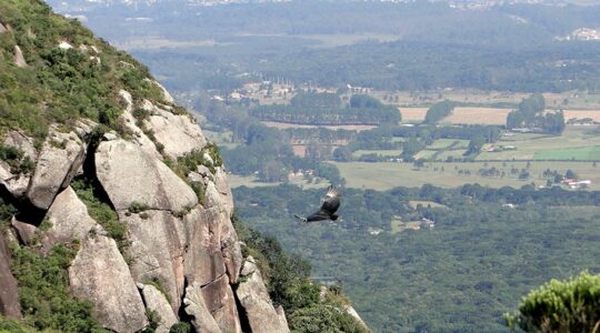 morro do anhangava