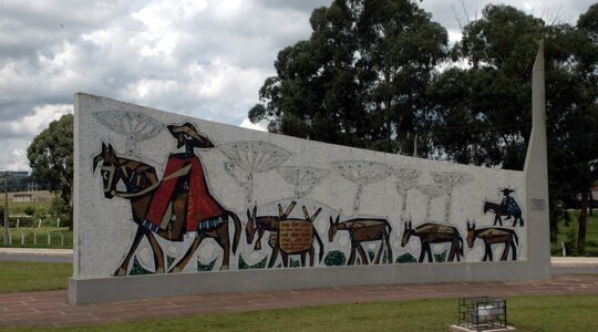 painel poty lapa