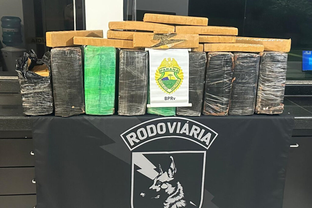 pmpr_apreende_mais_de_200_quilos_de_maconha_em_cruzeiro_do_oeste (1)