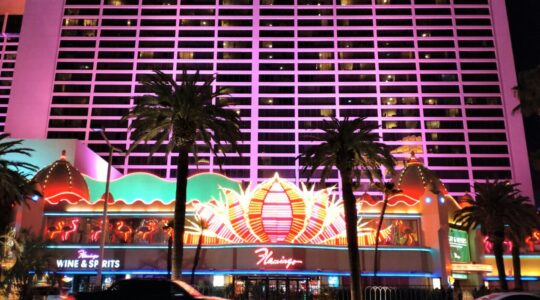 alex-vegas–90r1fgK8Hk-unsplash