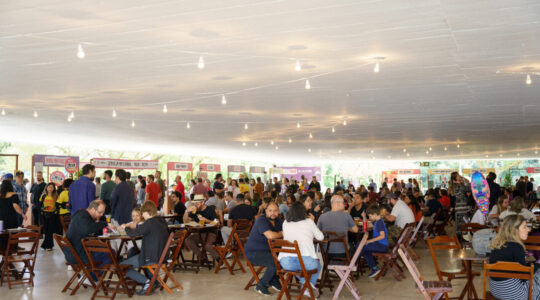 festival_tutano_creditos_infinite_3