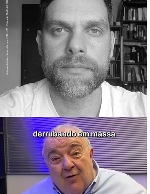 goura greca resposta