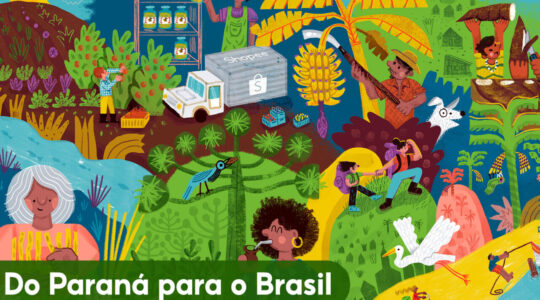 Shopee lança seção exclusiva com produtos paranaenses