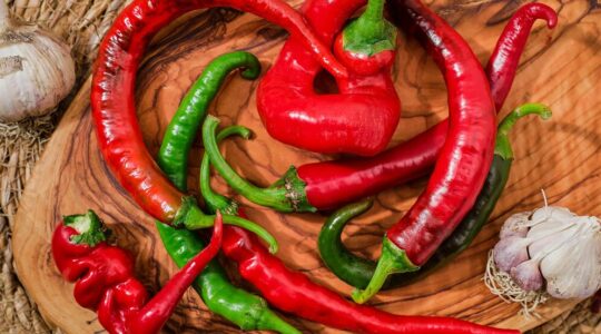 pimentas-frescas-de-agricultores-comercializam-ingredientes-alimentares-de-dieta-mediterranea-e-comida-saudavel-vista-de-cima_166373-3490
