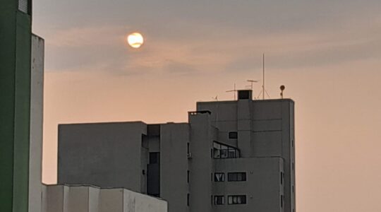 sol quinta