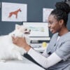 Vet Doctor Examining Sick Animal