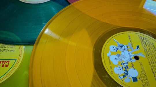 Vinil infantil – Foto Celso Ramos Filho – (4)