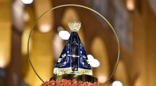 aparecida