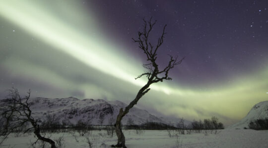 aurora boreal