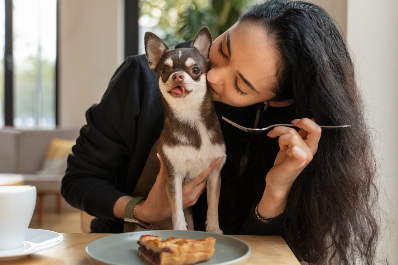 cachorro-chihuahua-adoravel-com-dona-do-sexo-feminino_23-2149880088