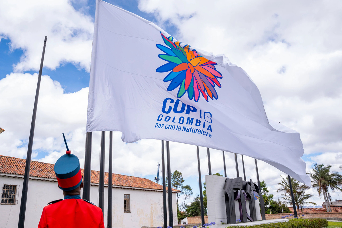 cop 16