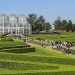 curitiba botanico