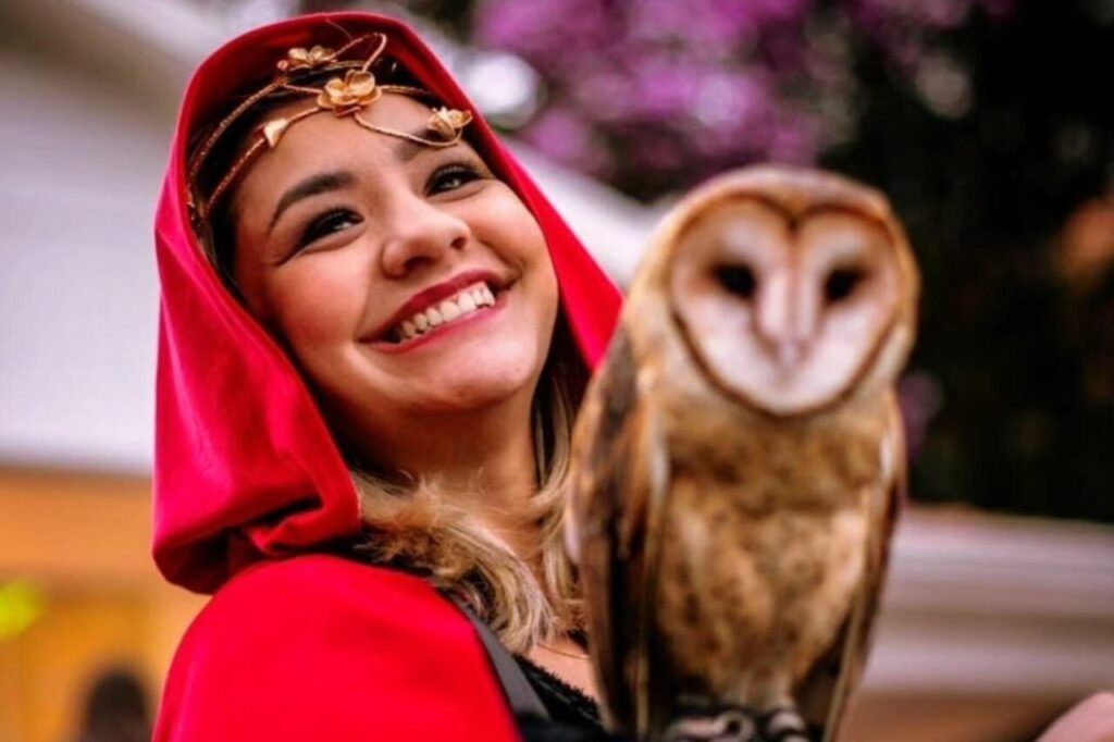 druidas
