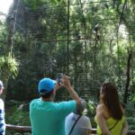 04/2019 – Foz do Iguaçu – Parque das Aves. Foto: José Fernando Ogura/ANPr