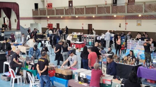 Feira do Vinil, Colecionaveis e Variedades – foto T. Vanso-divulgação (2)