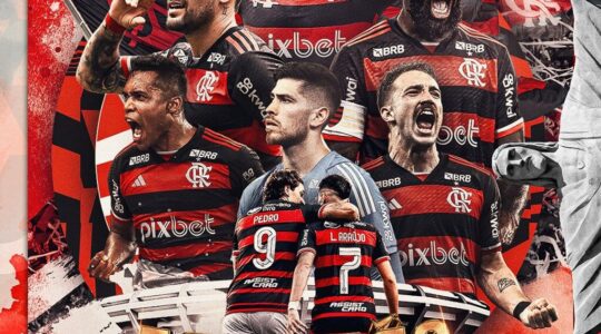 Flamengo campeão da Copa do Brasil 2024