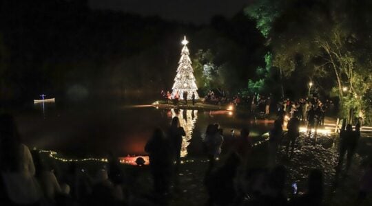 Floresta Encantada e Natal no Madalosso marcam primeiro fim de semana do Natal de Curitiba 2024.