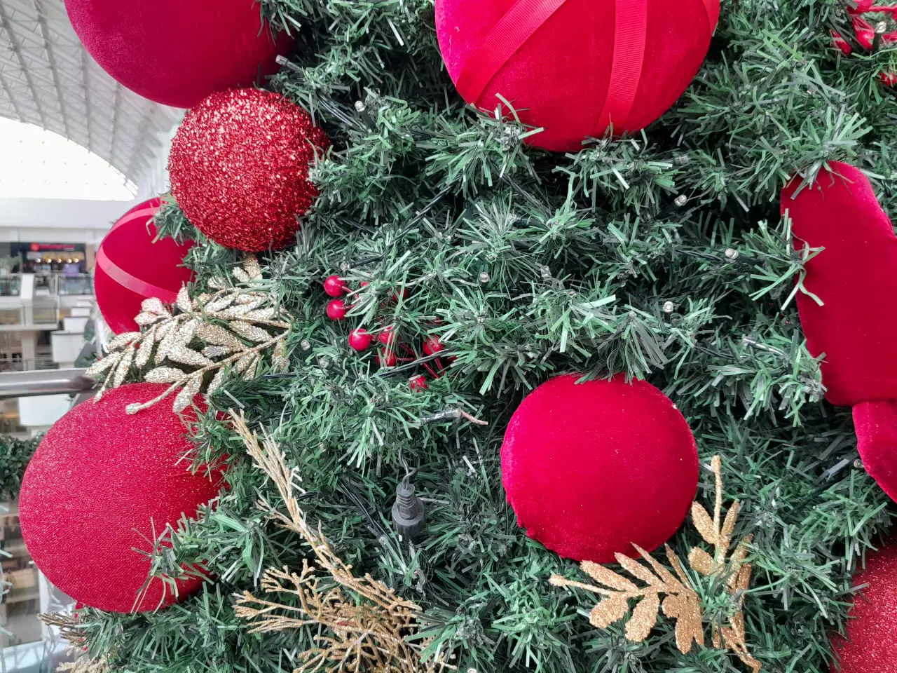 arvore de natal