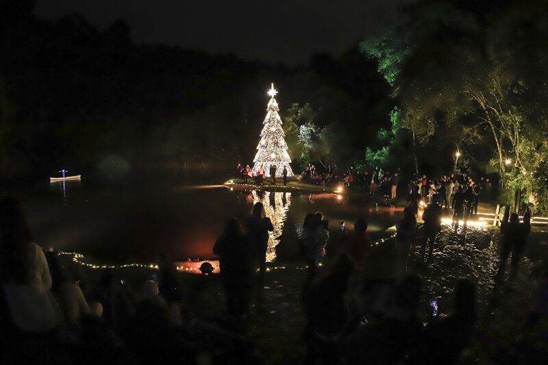 natal encantado