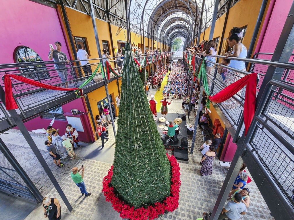 natal regionais