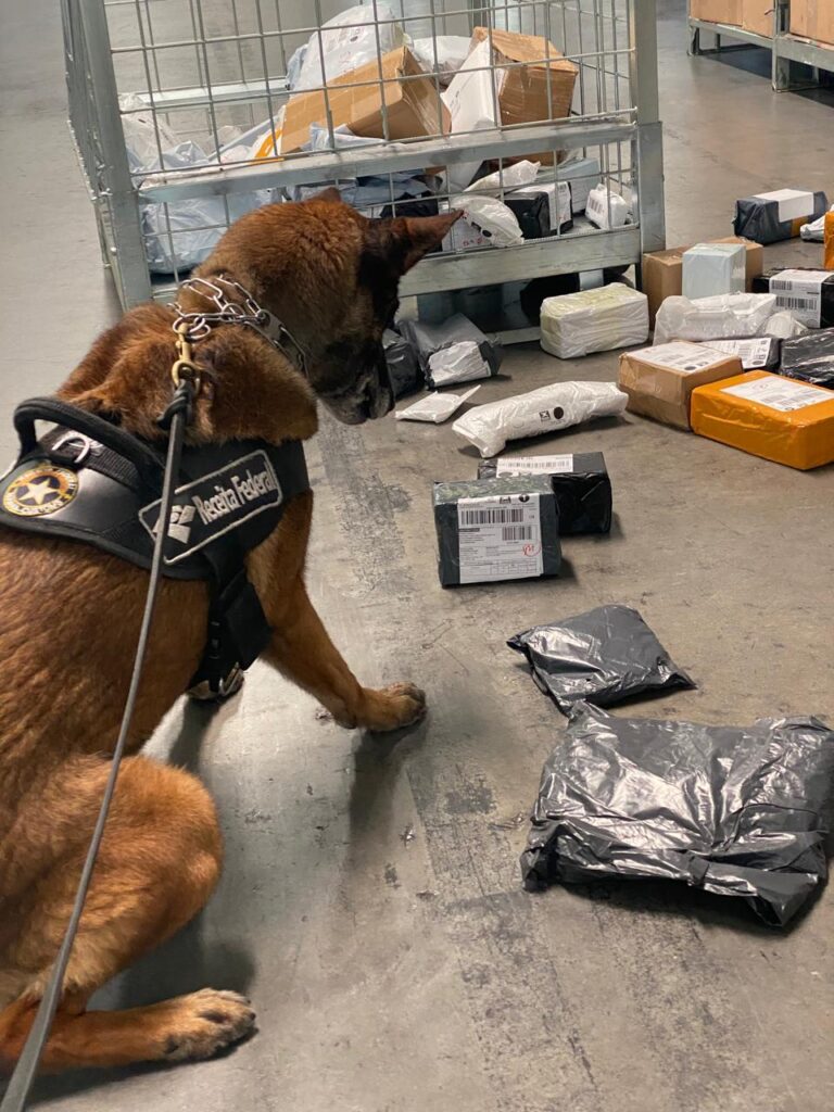receita federal k9