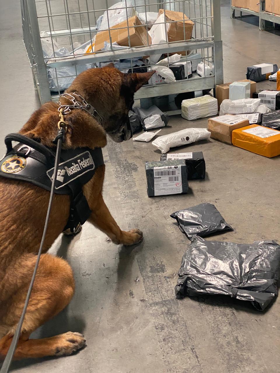 receita federal k9