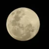 superlua-1