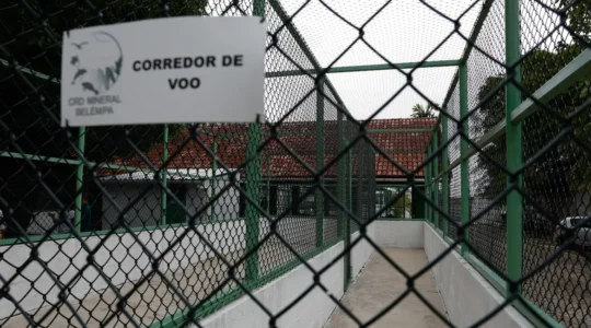 29basemarinha
