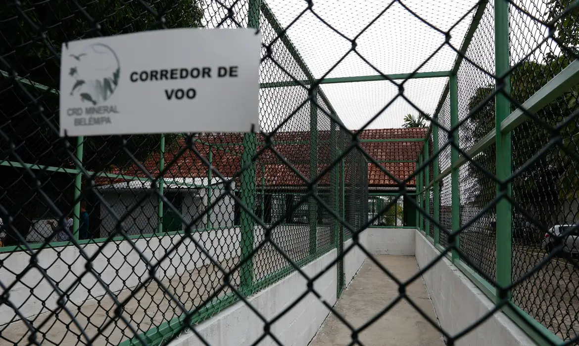 29basemarinha