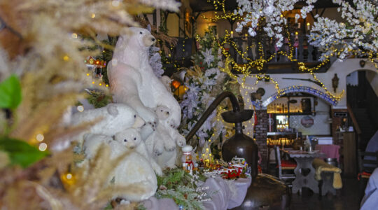 BAVIERA – IMPRENSA – Natal 2024 White Christmas – Foto- ALISON MARTINS @alisonmrt-8