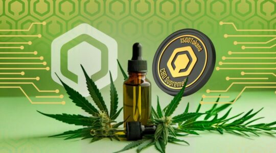 CBD Digital Flowers empresa lança clube de assinatura de cannabis medicinal