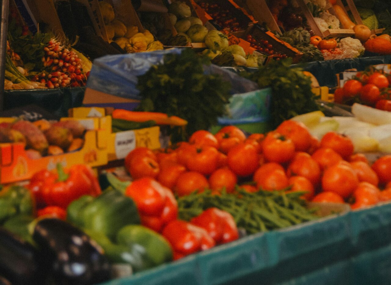 Creditos-Pauline-Schmid–unsplash