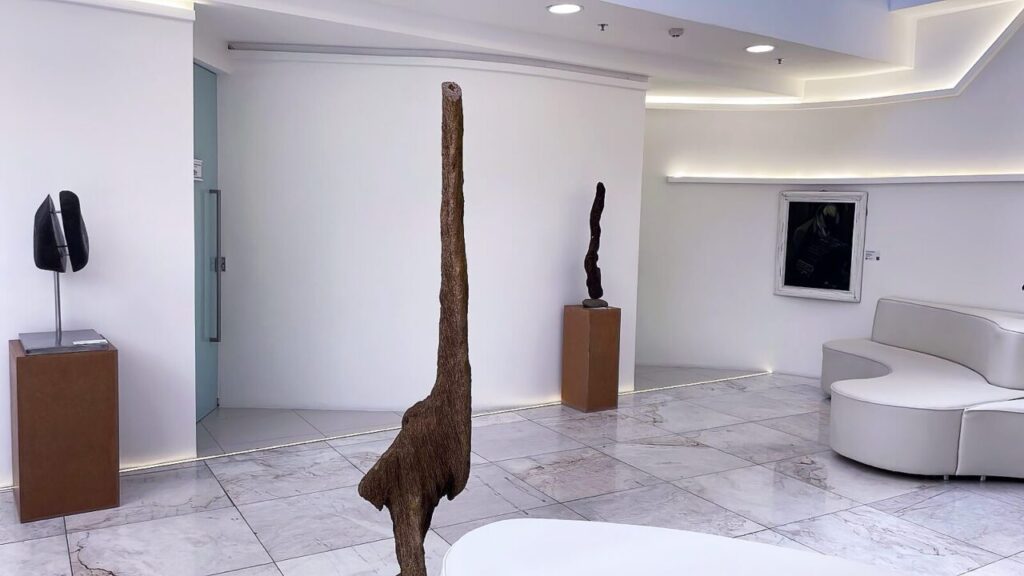 Expo_Confluências_2