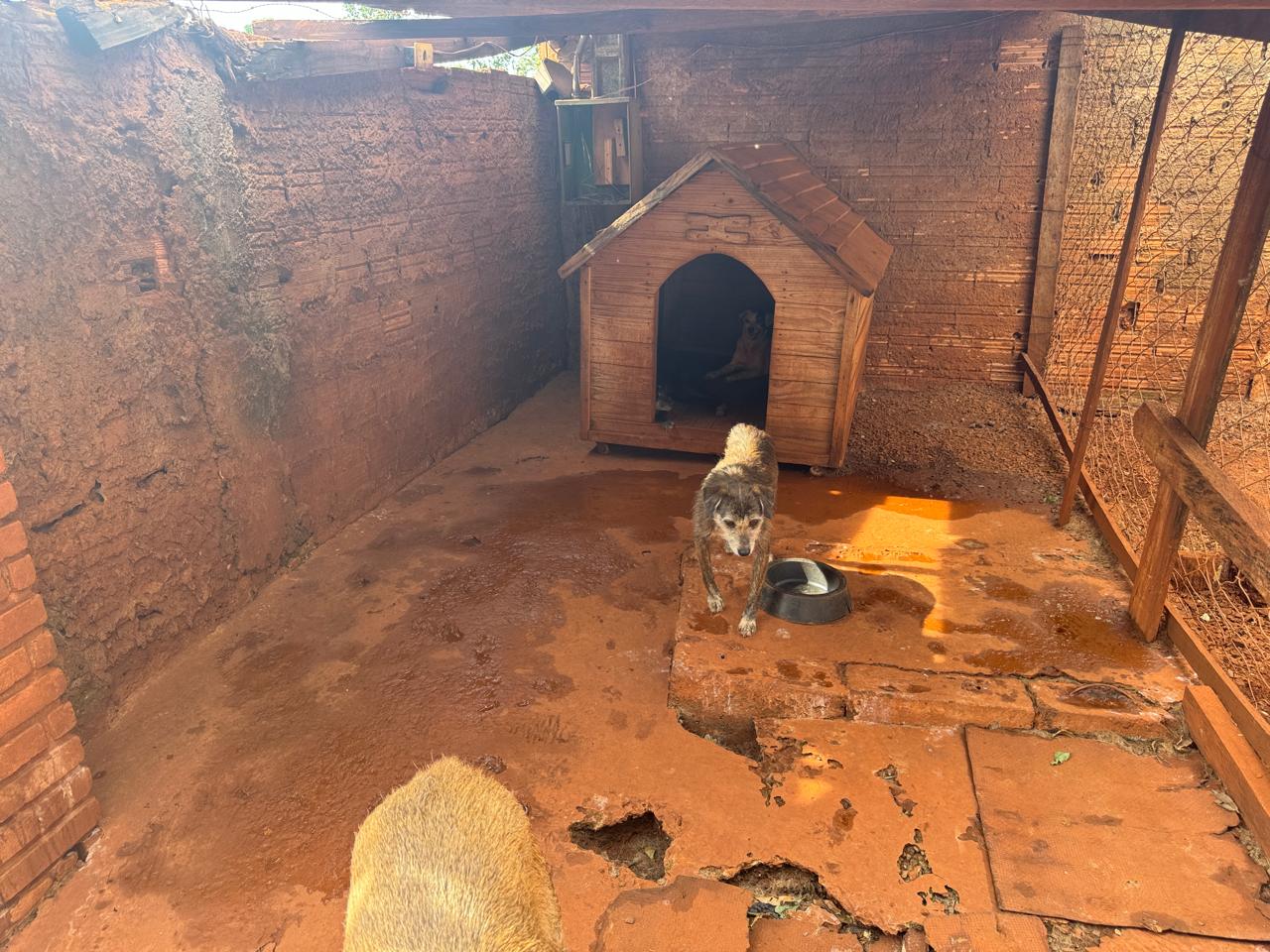 Imagem 2.6 – Baias animais