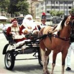 Papai1
