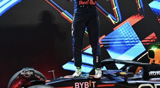 Max Verstappen comemora