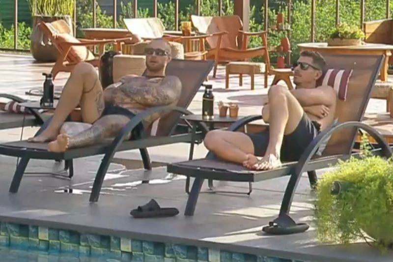 a fazenda, a fazenda 16, a fazenda ao vivo, ao vivo, online, grátis, como assistir, 19-12