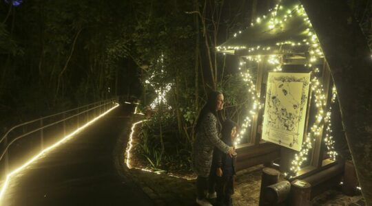 bosque do alemão