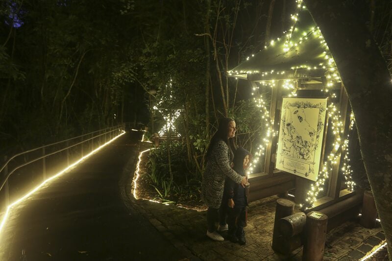 bosque do alemão