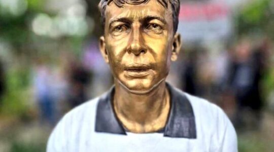 busto neteo