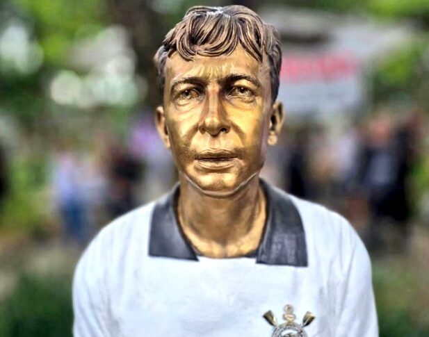 busto neteo
